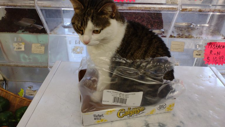 IMG_20211118_1239284772